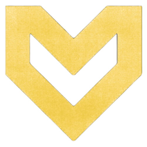 Vyzee Logo